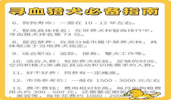 三角洲如何开启寻血猎犬模式(有没有免费的三角洲寻血猎犬外挂?) 三角洲如何开启寻血猎犬模式(有没有免费的三角洲寻血猎犬外挂?)